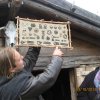 Skansen Wolin 4