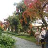Skansen Wolin 10