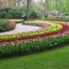 Ogrody Keukenhof