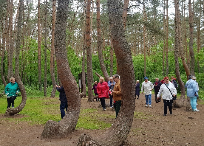 Długo oczekiwany turystyczny wypad.