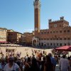 Siena - plac Campo