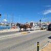 Aegina 4